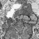 玄武岩の薄切片、偏光度