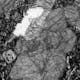 Thin section of basalt, intensity