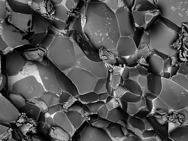 Investigation of the fractured surface of an NdFeB magnet (demagnetized) with GeminiSEM 450.