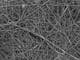 Échafaudage nanofibreux de gélatine réticulée pour l'ingénierie tissulaire.