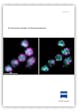 A Practical Guide of Deconvolution - Application Note