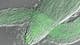 Arabidopsis root thread – DIC superimposed fluorescence