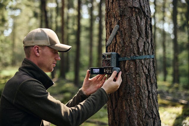 section-finest-illuminated-dot