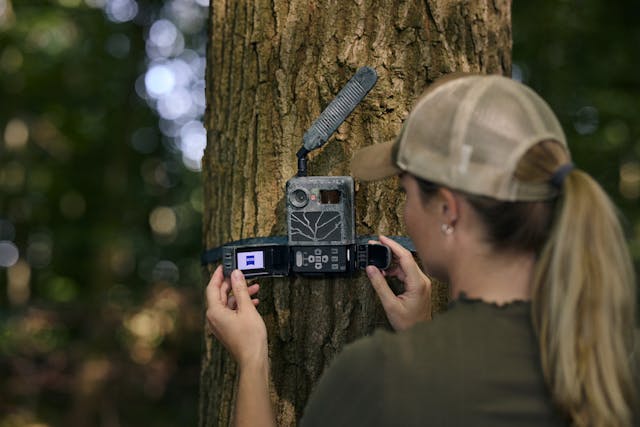 section-finest-illuminated-dot