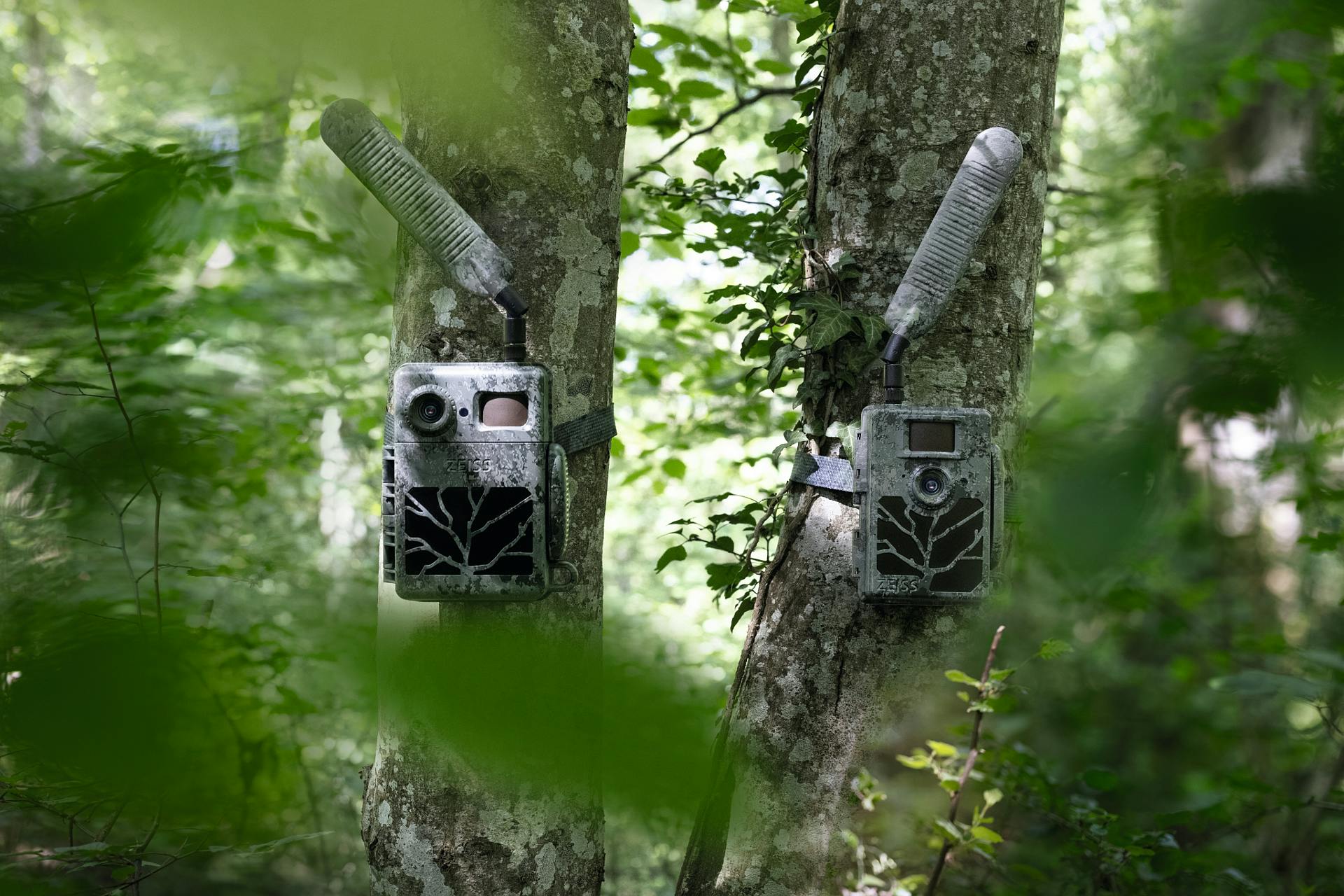 zeiss-trail-cameras-service-plans-best-value.jpg