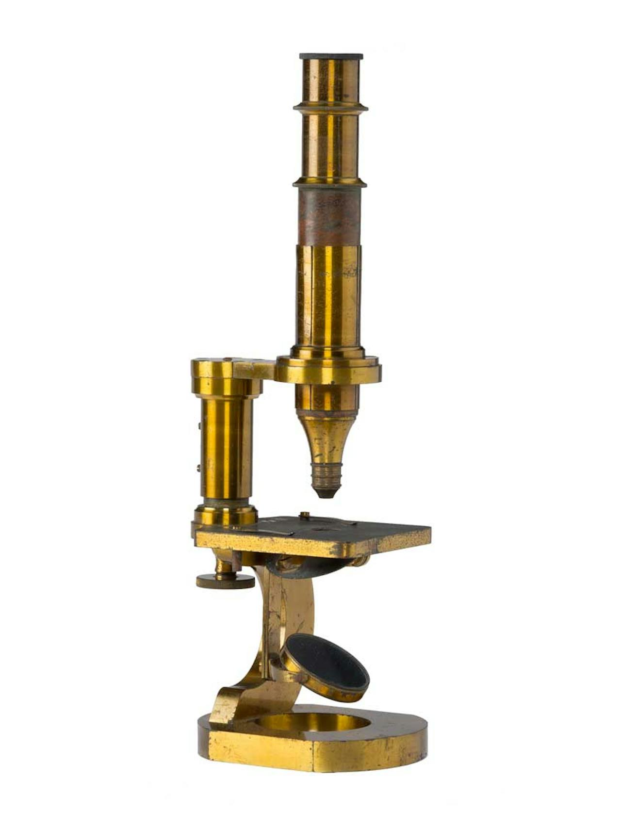 Microscopy Microscopy