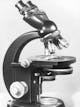 Das Mikroskop "Standard" wird für Carl Zeiss eines der erfolgreichsten Mikroskopmodelle der Geschichte