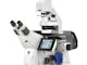 ZEISS Axio Observer with AI Sample Finder and Apotome 3