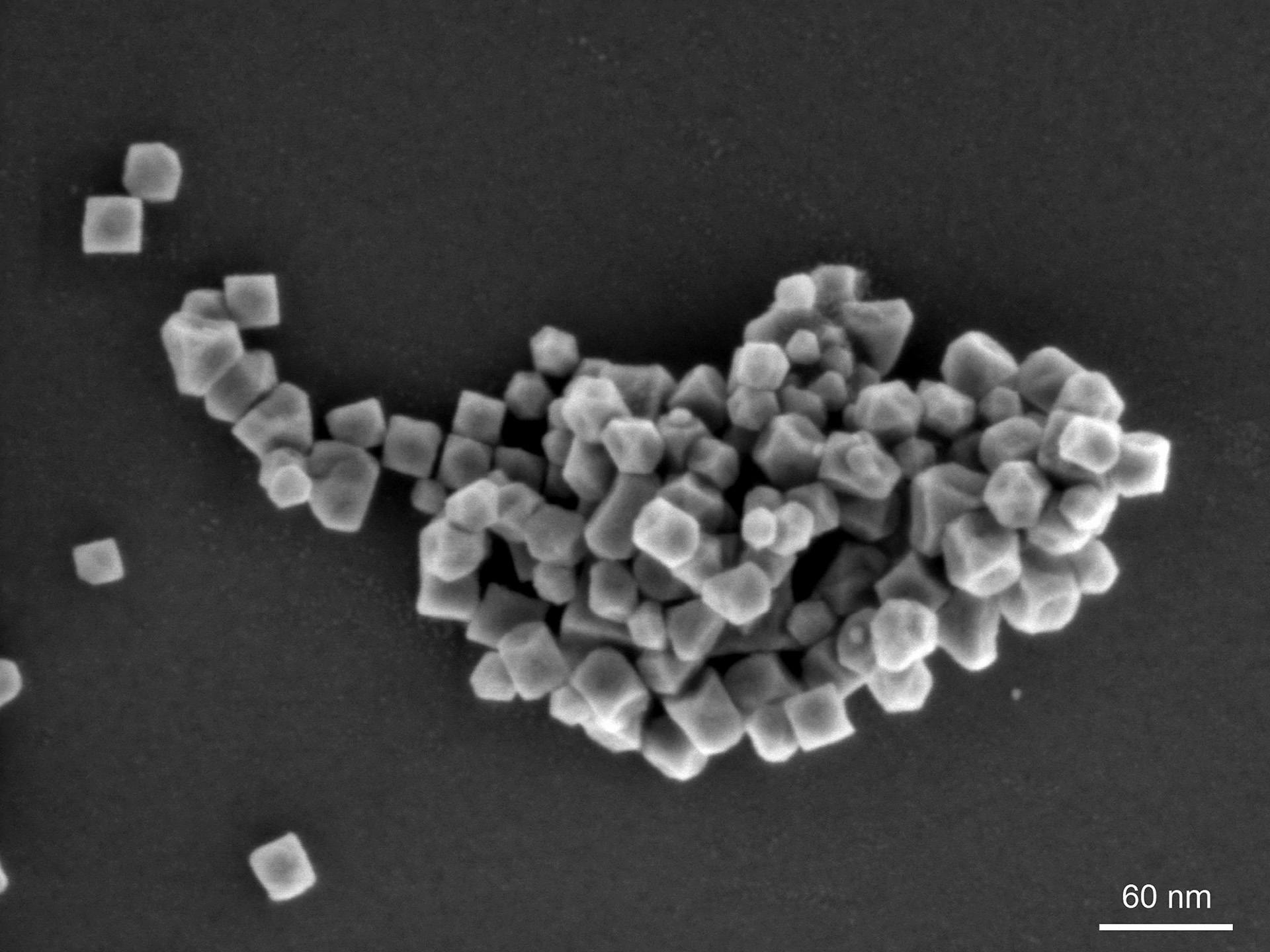 Magnetic, iron manganese nanoparticles where one cuboid particle has an edge length of approximately 25 nm, imaged at low acceleration voltage, ZEISS GeminiSEM 560, Inlens SE image, 1 kV, scale bar 50 nm.