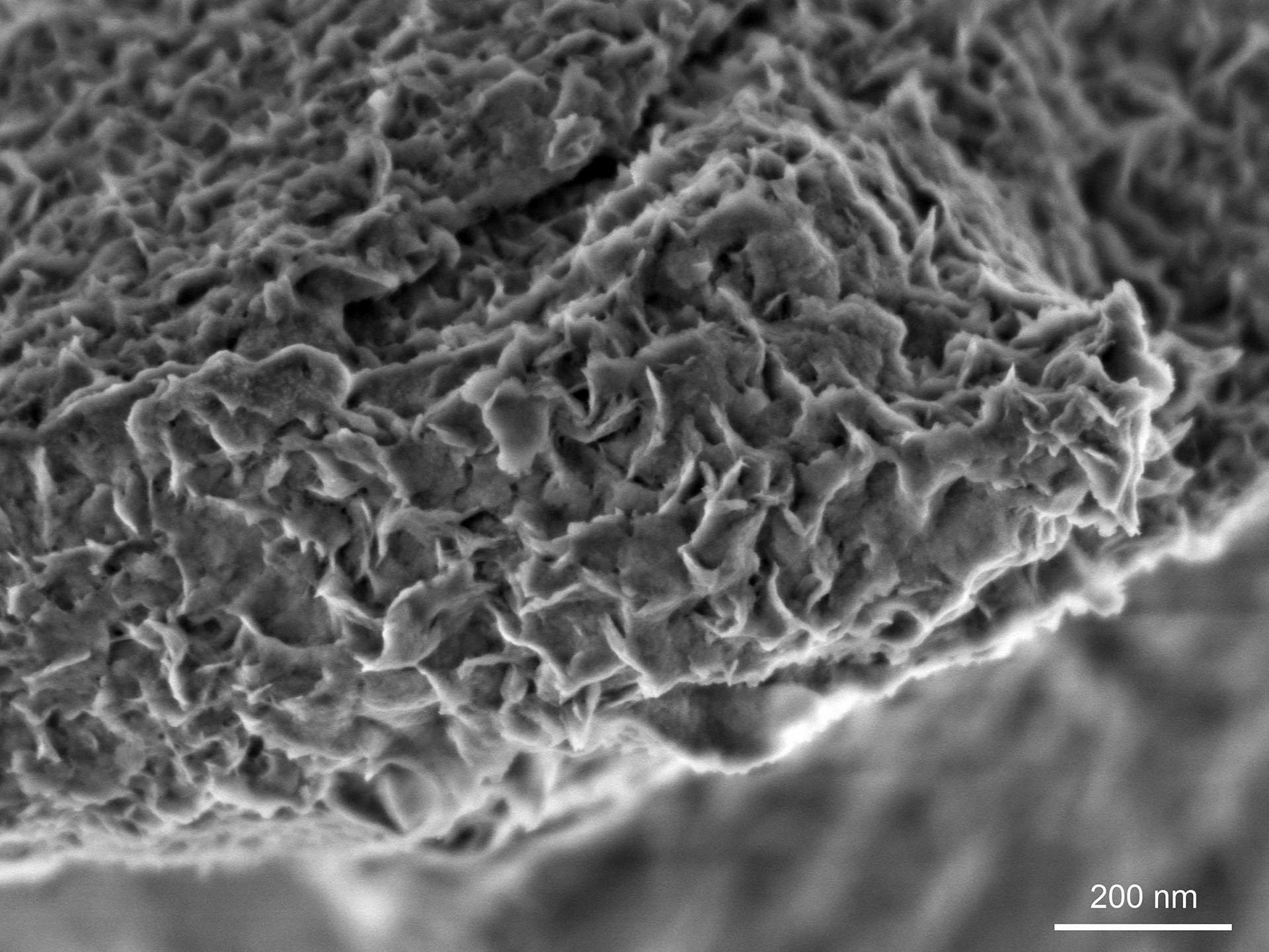 Nanometer-scaled features on the fractured surface of a non-conductive mineral, montmorillonite, visualized at low landing energy, ZEISS GeminiSEM 560, Inlens SE image, 800 V, scale bar 100 nm.