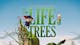 The Life of Trees