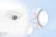 Elk oog heeft ongeveer 70 kanalen, of Meibom-klieren, die over de onderste en de bovenste oogleden verspreid zijn.