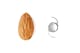 Actual IOL size compared to an almond