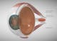 Peripheral vision - the eye