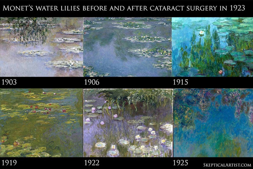 Claude monet vision Claude Monet - The Water Lily obsession pe Steam
